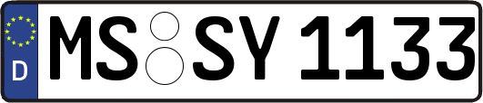 MS-SY1133