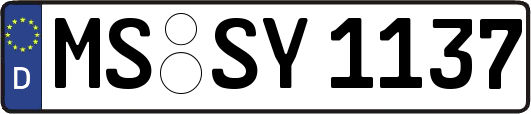 MS-SY1137