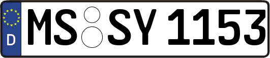 MS-SY1153