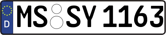 MS-SY1163