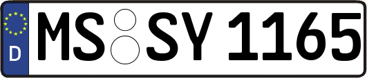 MS-SY1165