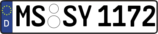MS-SY1172