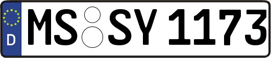 MS-SY1173