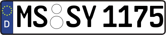 MS-SY1175