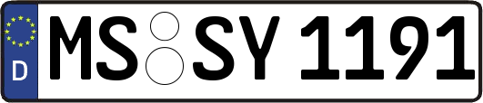 MS-SY1191