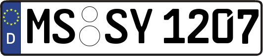 MS-SY1207