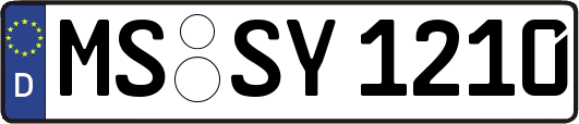 MS-SY1210