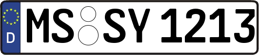 MS-SY1213