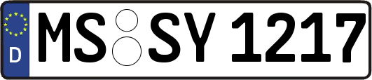 MS-SY1217