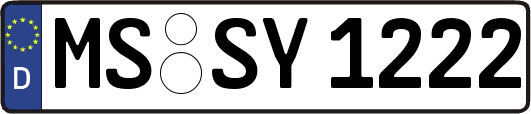 MS-SY1222