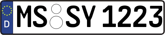 MS-SY1223
