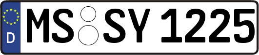 MS-SY1225