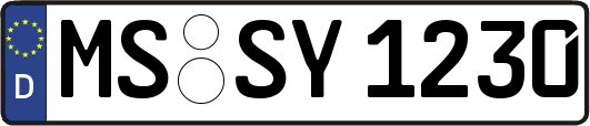 MS-SY1230