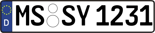 MS-SY1231