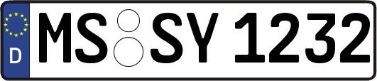 MS-SY1232