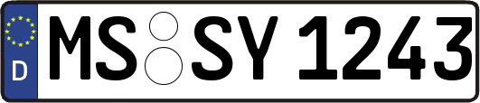 MS-SY1243