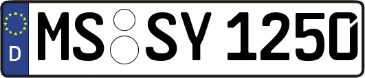 MS-SY1250