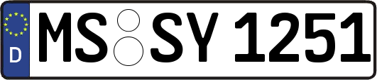 MS-SY1251
