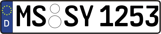 MS-SY1253