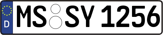 MS-SY1256