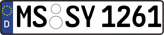 MS-SY1261