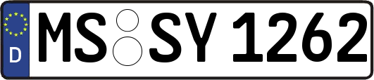 MS-SY1262