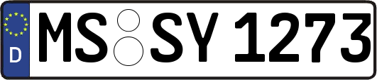 MS-SY1273