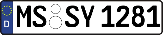 MS-SY1281