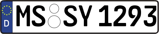 MS-SY1293
