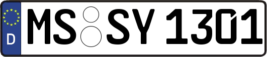 MS-SY1301