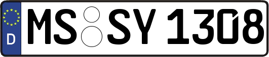 MS-SY1308