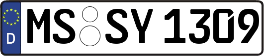 MS-SY1309