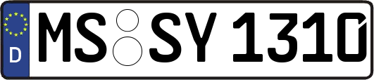 MS-SY1310