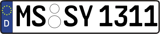 MS-SY1311