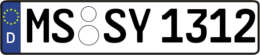 MS-SY1312