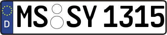 MS-SY1315