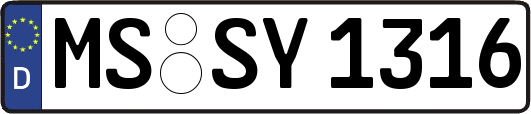 MS-SY1316