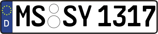 MS-SY1317