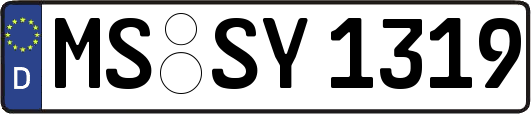 MS-SY1319