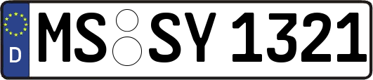 MS-SY1321