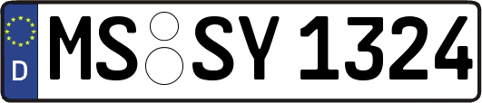 MS-SY1324