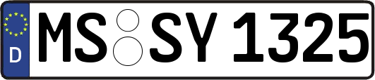 MS-SY1325
