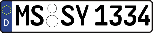 MS-SY1334