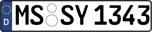 MS-SY1343