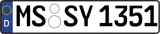 MS-SY1351