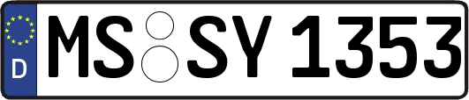 MS-SY1353