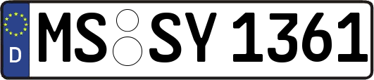 MS-SY1361