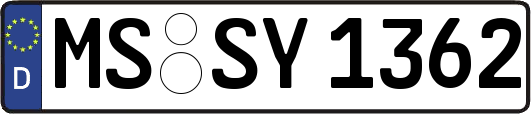 MS-SY1362