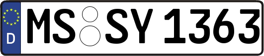 MS-SY1363