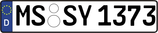 MS-SY1373